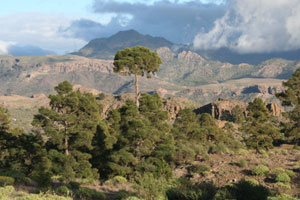 Countryside above Mogan 