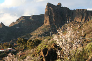 Countryside above Mogan 