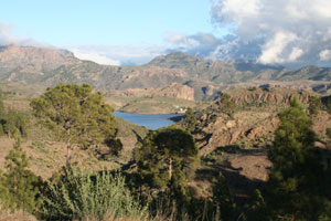 Countryside above Mogan 