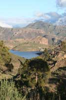 Countryside above Mogan