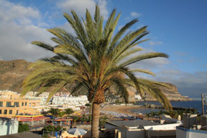 The Captain's House: view from the roof terrace