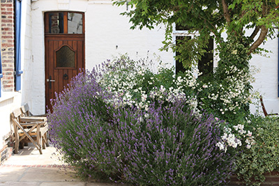 Hamilton Holiday Houses: Farmhouse at Delettes, Pas de Calais