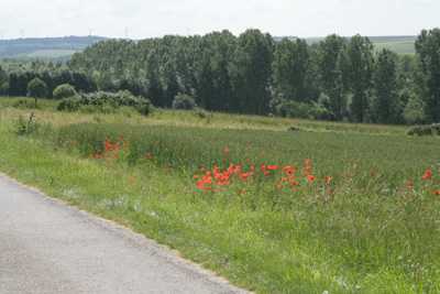 Hamilton Holiday Houses: Farmhouse at Delettes, Pas de Calais