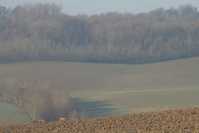 Hamilton Holiday Houses: Farmhouse at Delettes, Pas de Calais