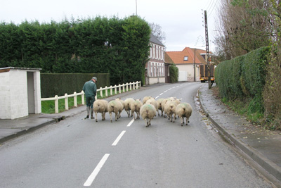 Hamilton Holiday Houses: Farmhouse at Delettes, Pas de Calais