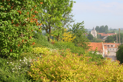 Hamilton Holiday Houses: Farmhouse at Delettes, Pas de Calais